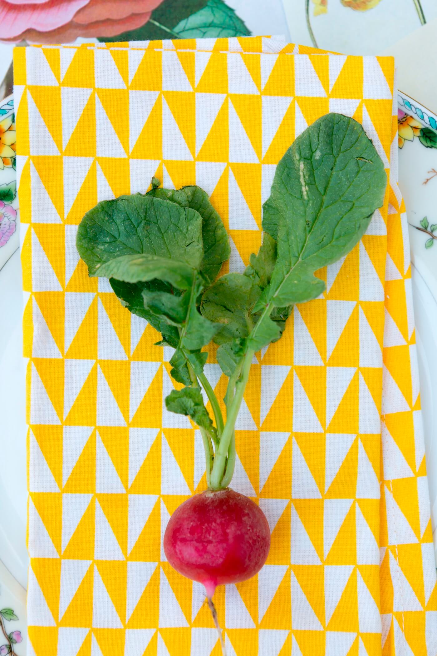 Radish on a napkin