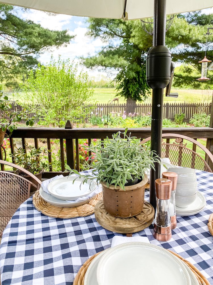 Table top with green plants and white dishes