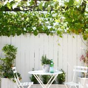 Seating area underneath grape arbor to grow grapes