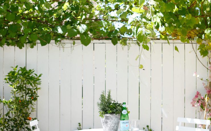 Seating area underneath grape arbor to grow grapes