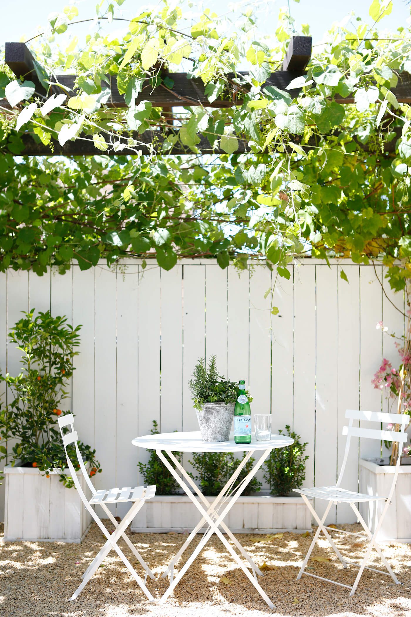 Seating area underneath grape arbor to grow grapes