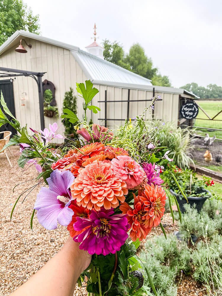 Hand full of flowers with barn in the background