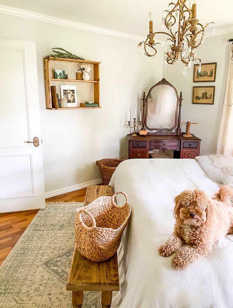 Bedroom with farmhouse style and dog on bed