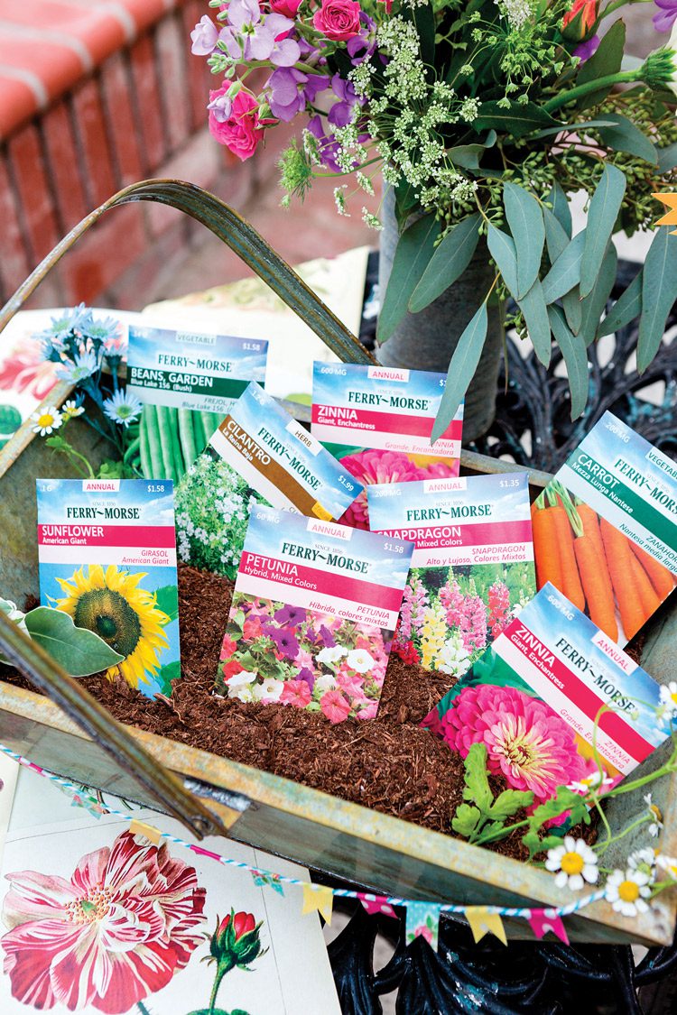 seed packet favors