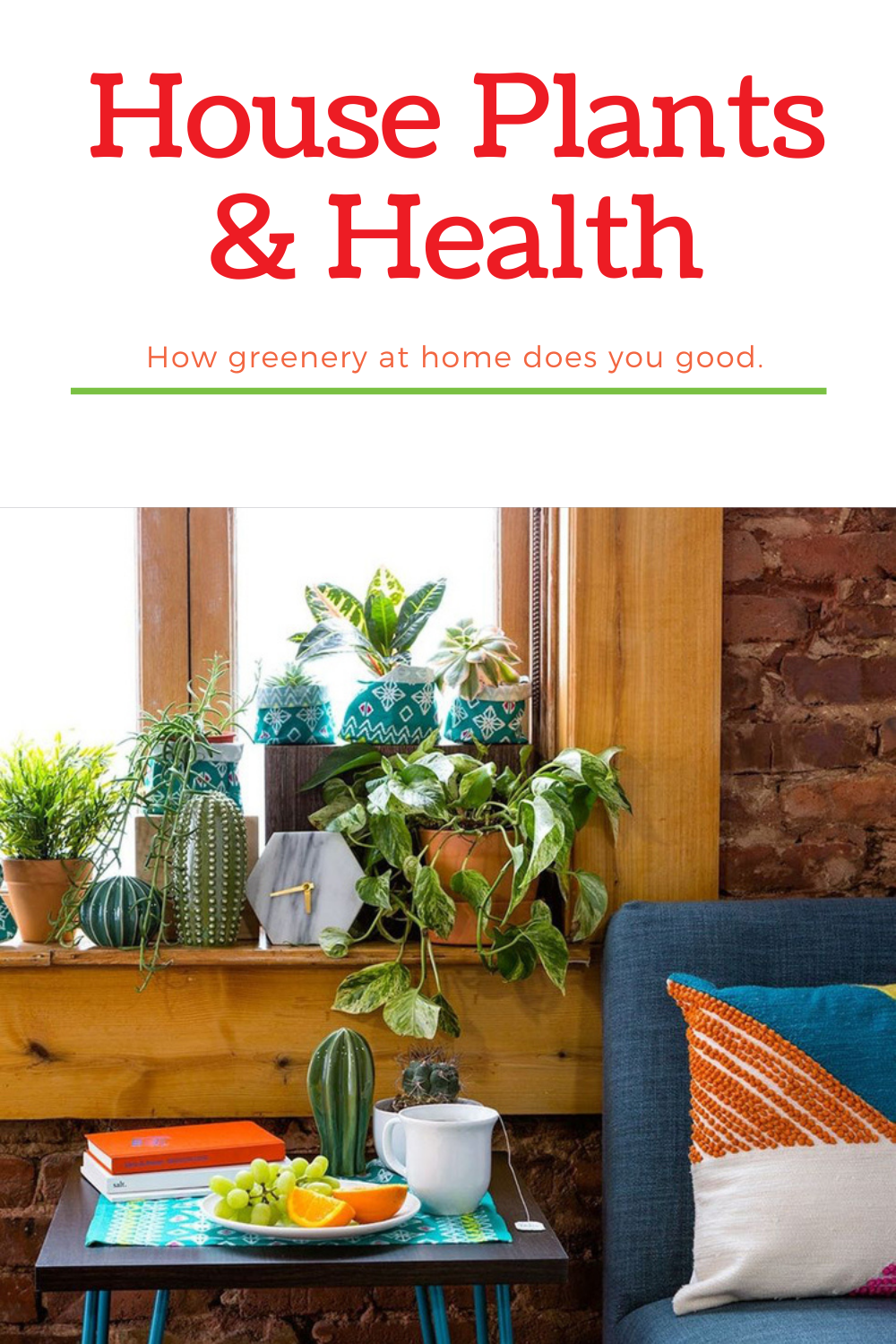 Do House Plants Improve Our Health? - American Farmhouse Style