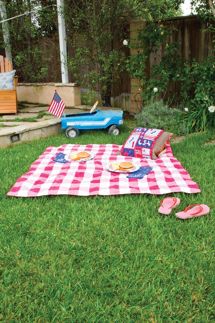 4th of July picnic with vintage toy truck