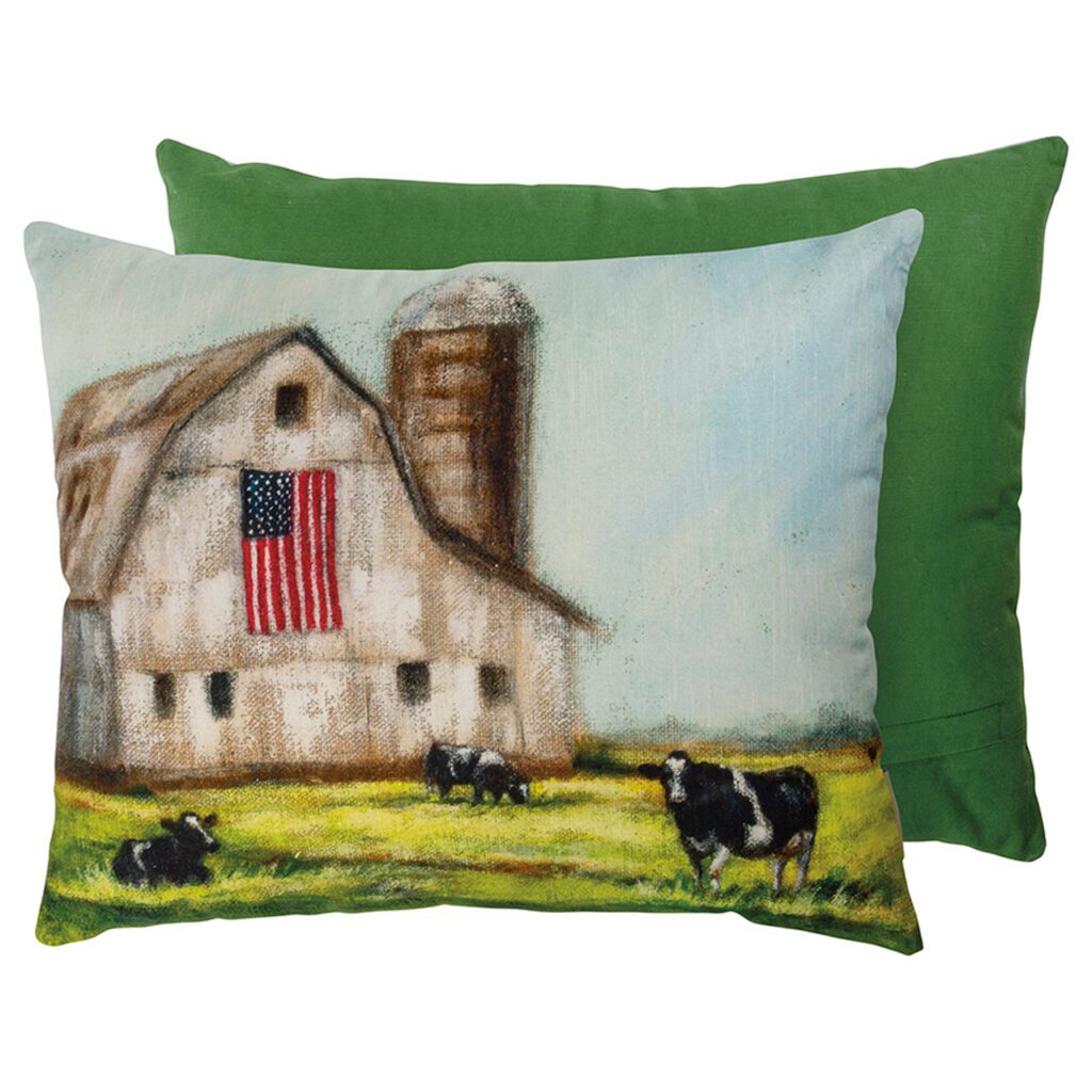 americana pillow barn with flag