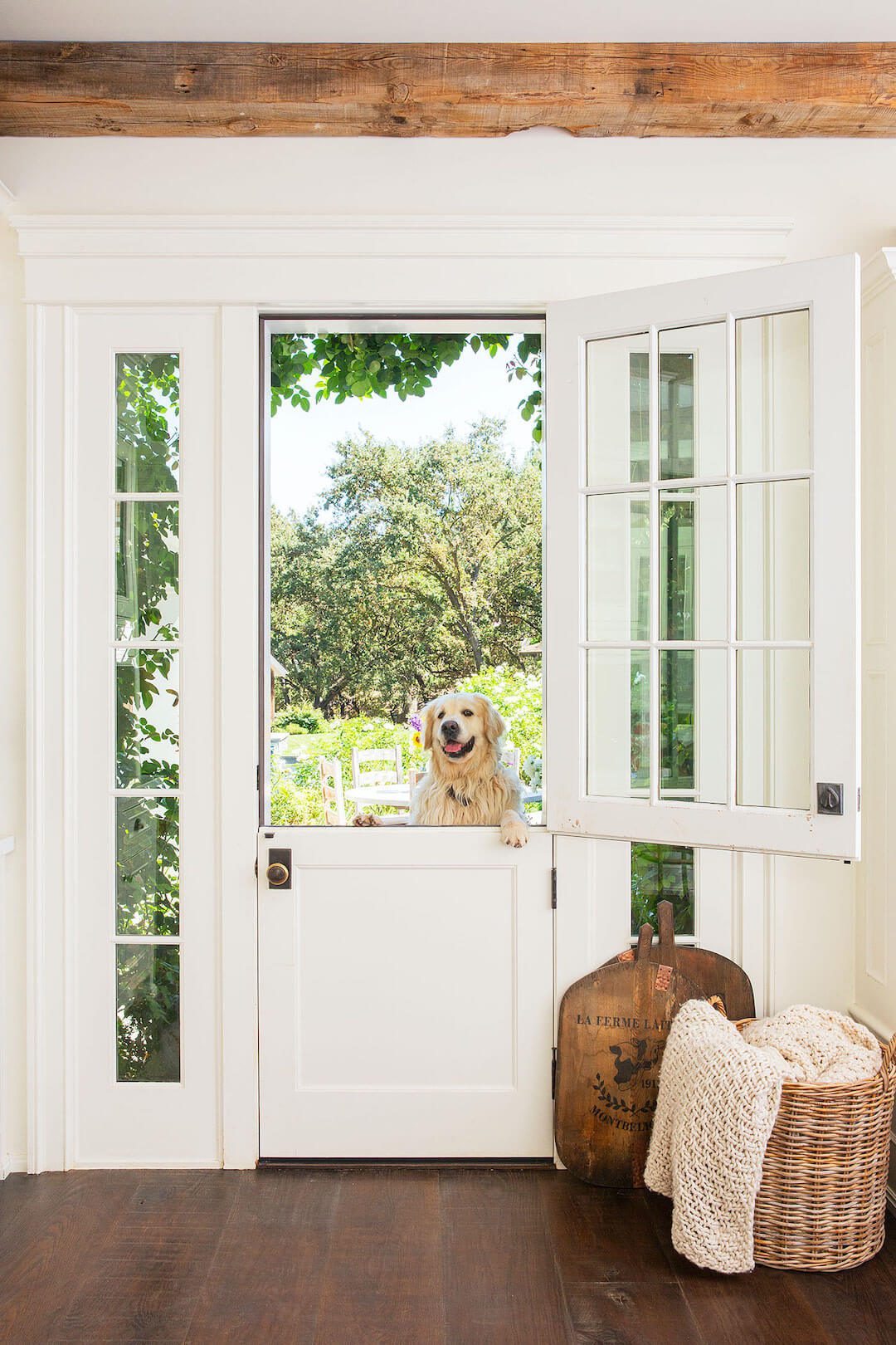 farmhouse dog