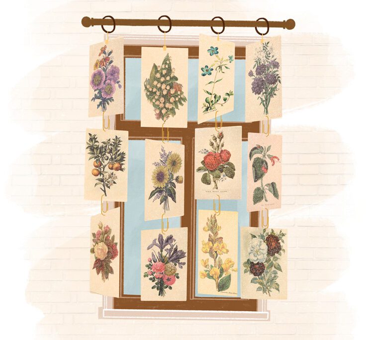 botanical prints hung as DIY window treatment