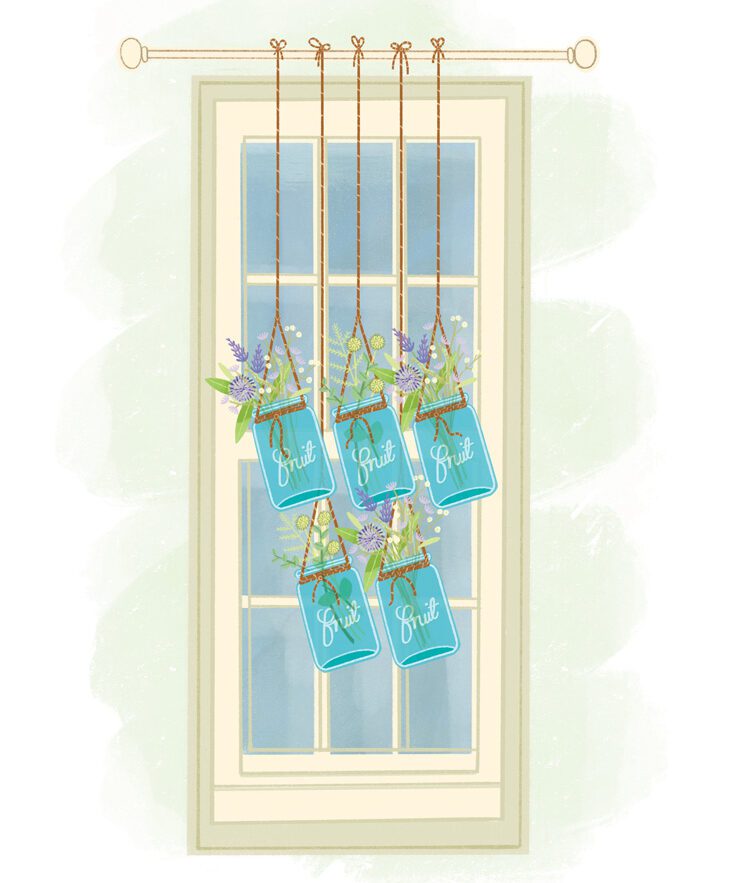 illustration of plants in mason jars hanging from a curtain rod