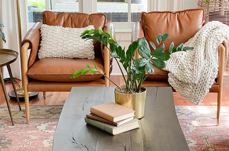 Living room with leather upholstered chairs and summer decor planters