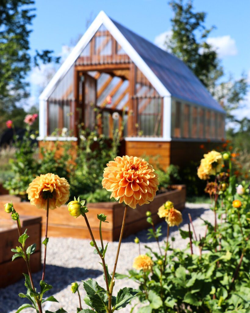 This DIY project teaches you how to preserve your favorite flowers. 