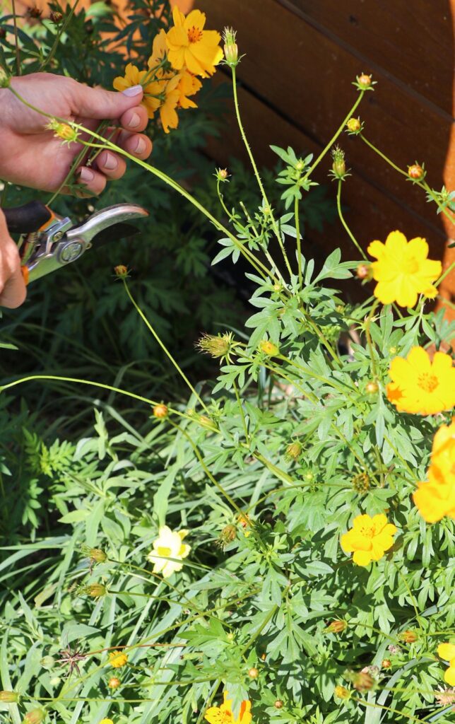 This DIY project teaches you how to preserve your favorite flowers. 