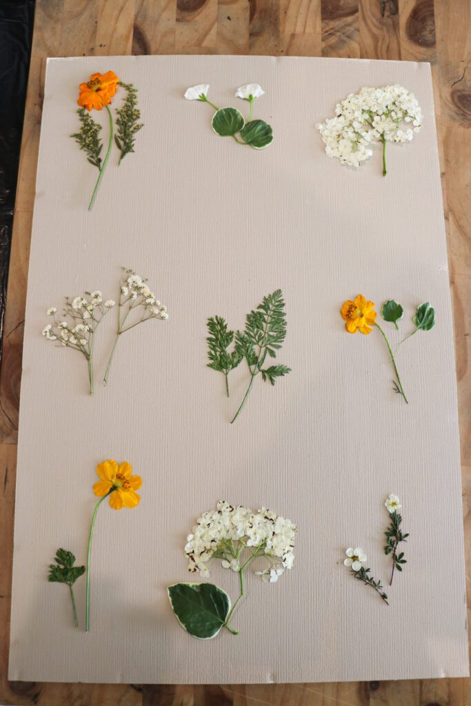 DIY Pressed Flower Art - On Sutton Place