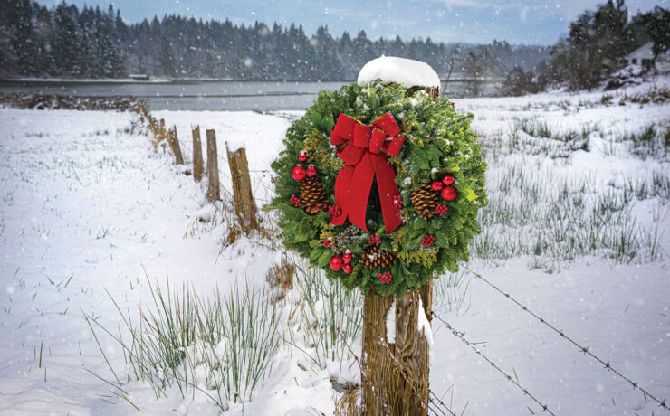 fresh Christmas wreath in snow