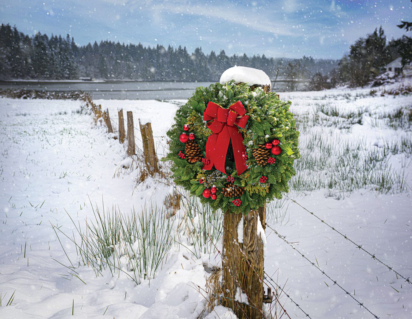 fresh Christmas wreath in snow
