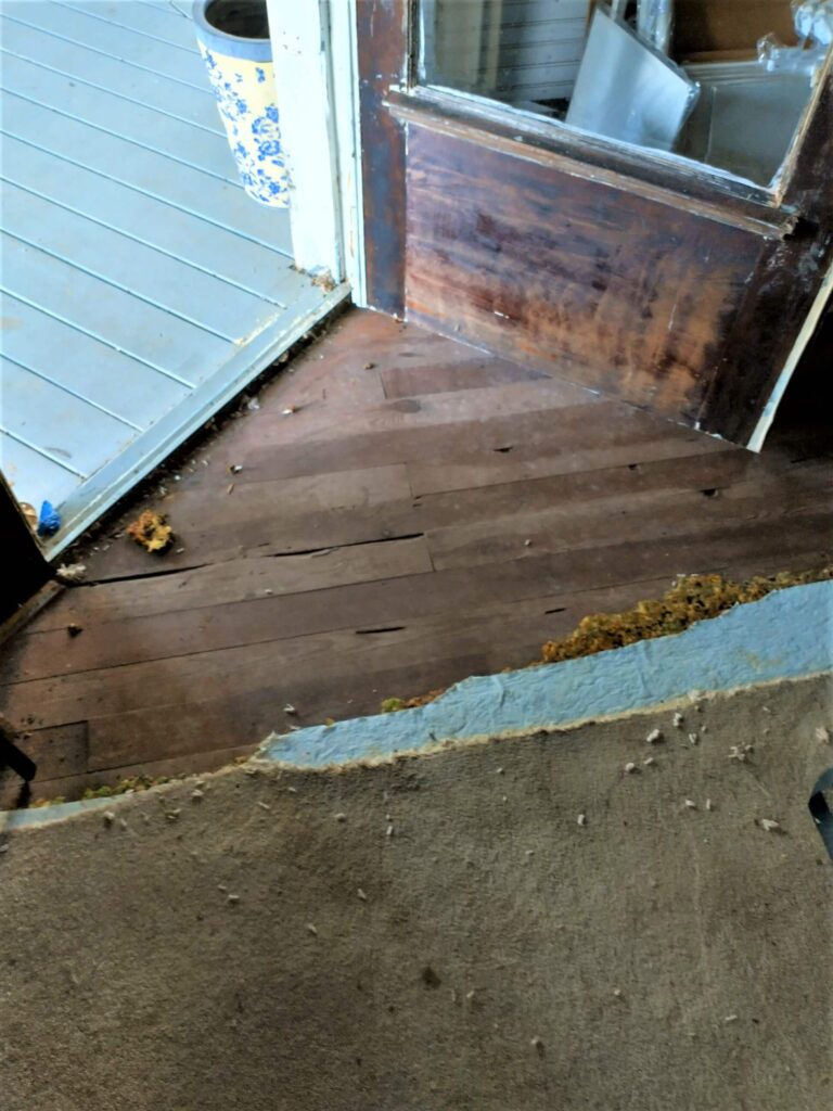 hardwood underneath old carpet in old Franklin home