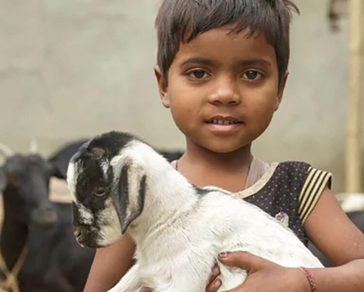 Young boy with goat