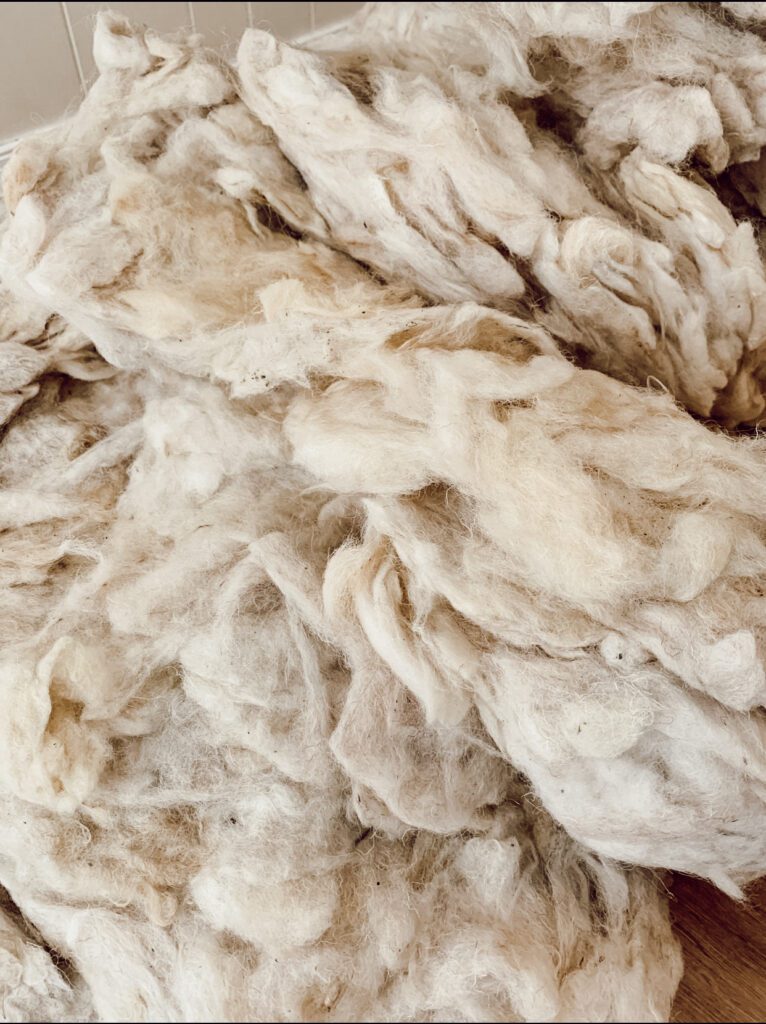 Fenamig natural wool