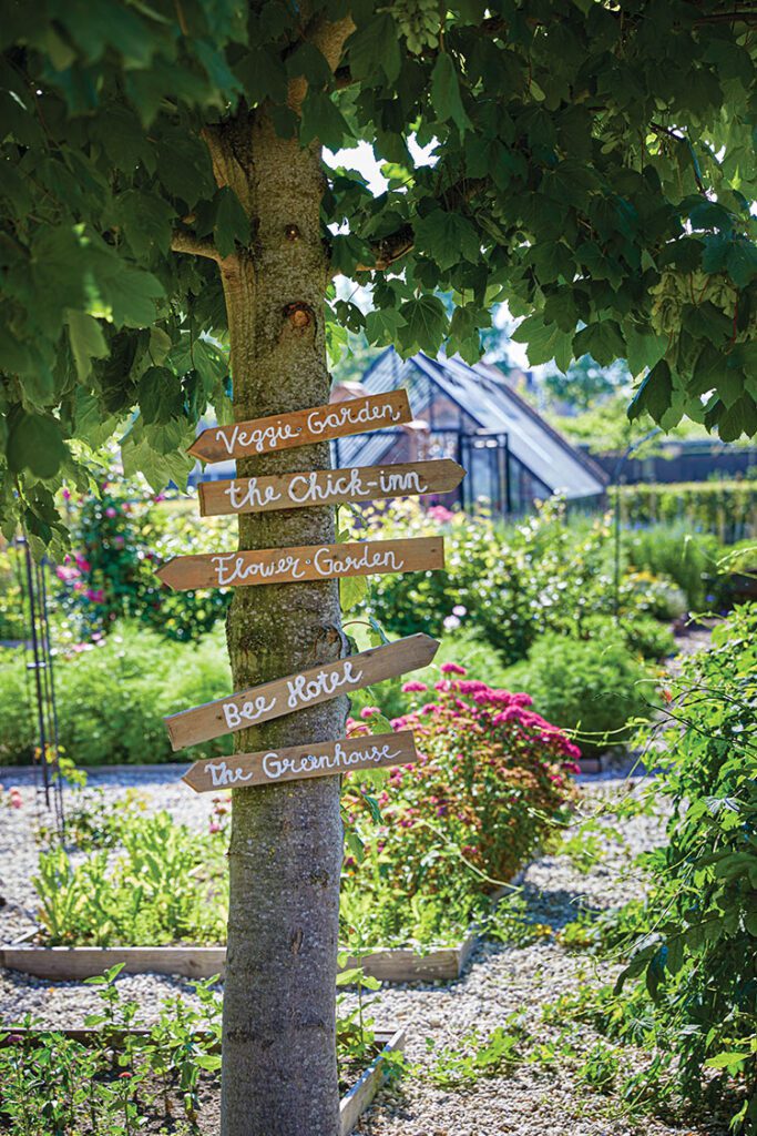 signposts in vintage garden