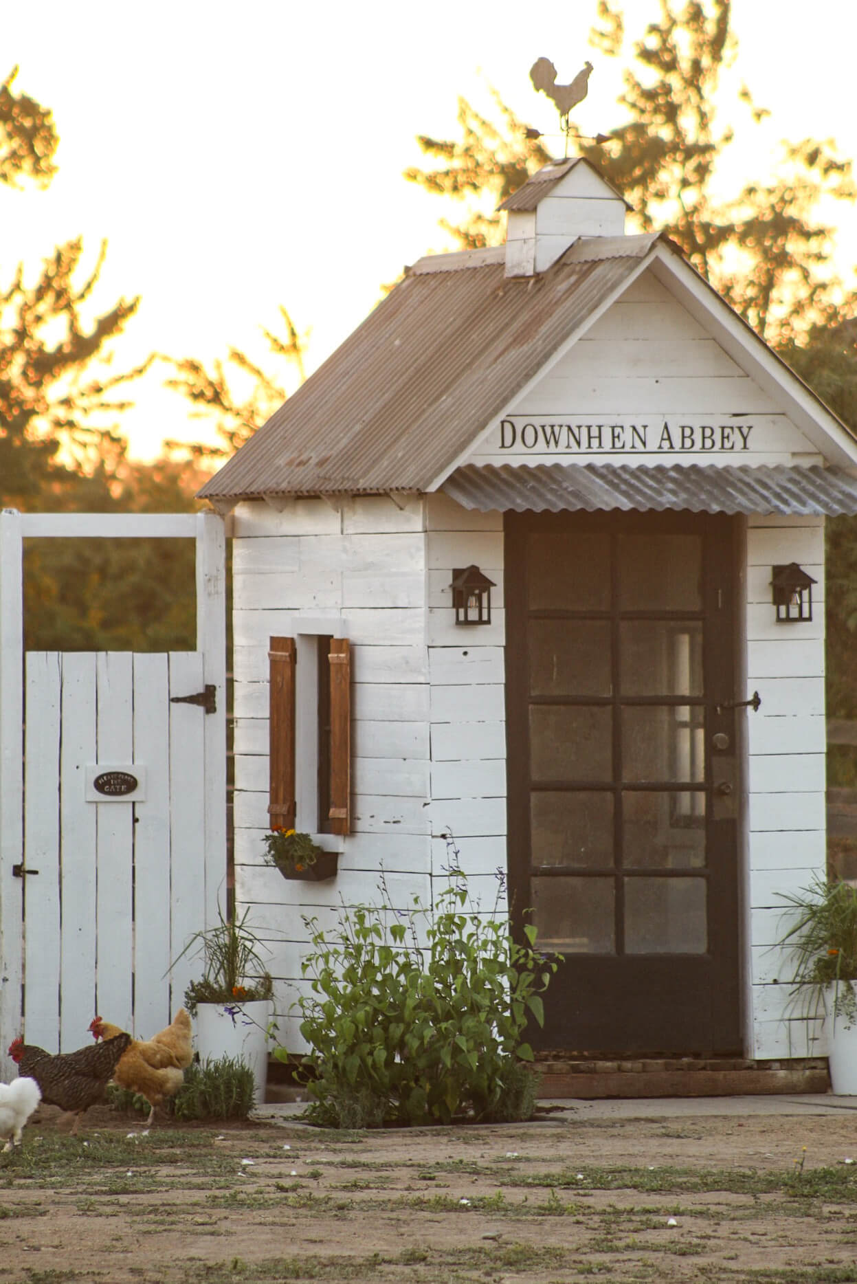 chicken coop exterior with lighting and overhang