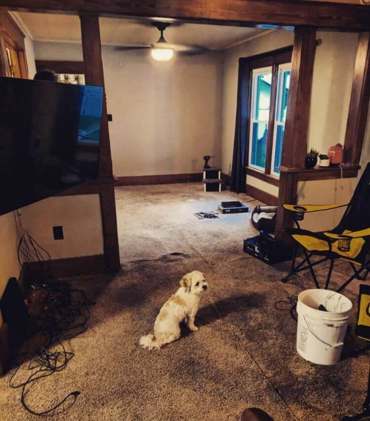 This Iowa home originally had old dingy carpet before getting its beautiful walnut wood flooring