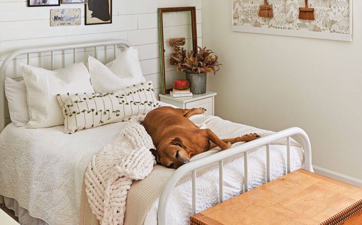Bedroom with flea market wall decor and dog sleeping on the bed