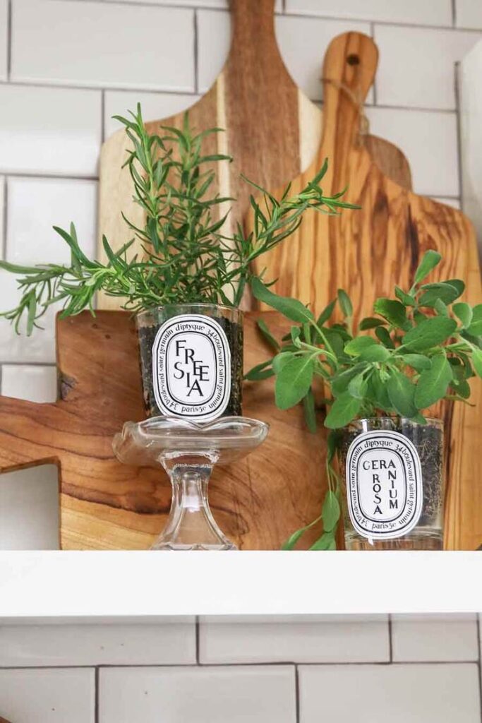 herbs planted in candle jars