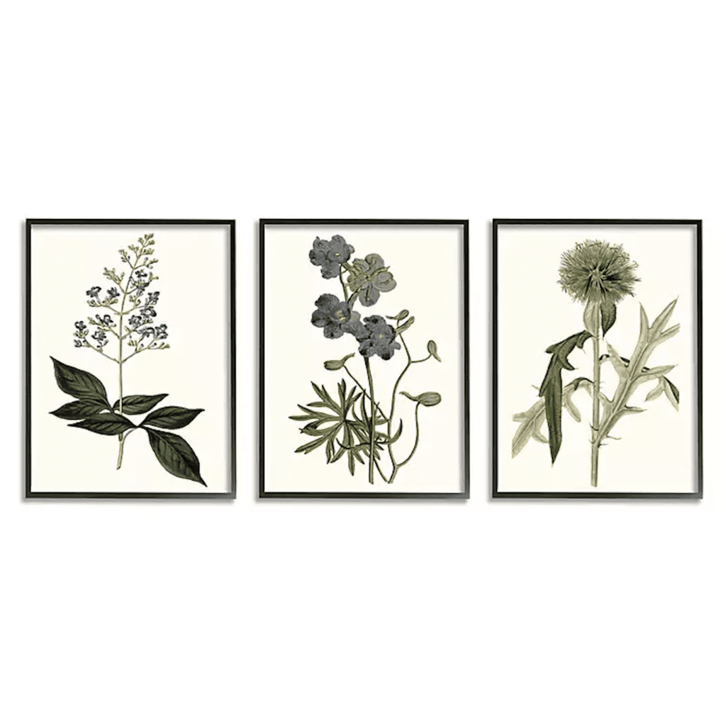 set of three botanical prints for vintage farmhouse style