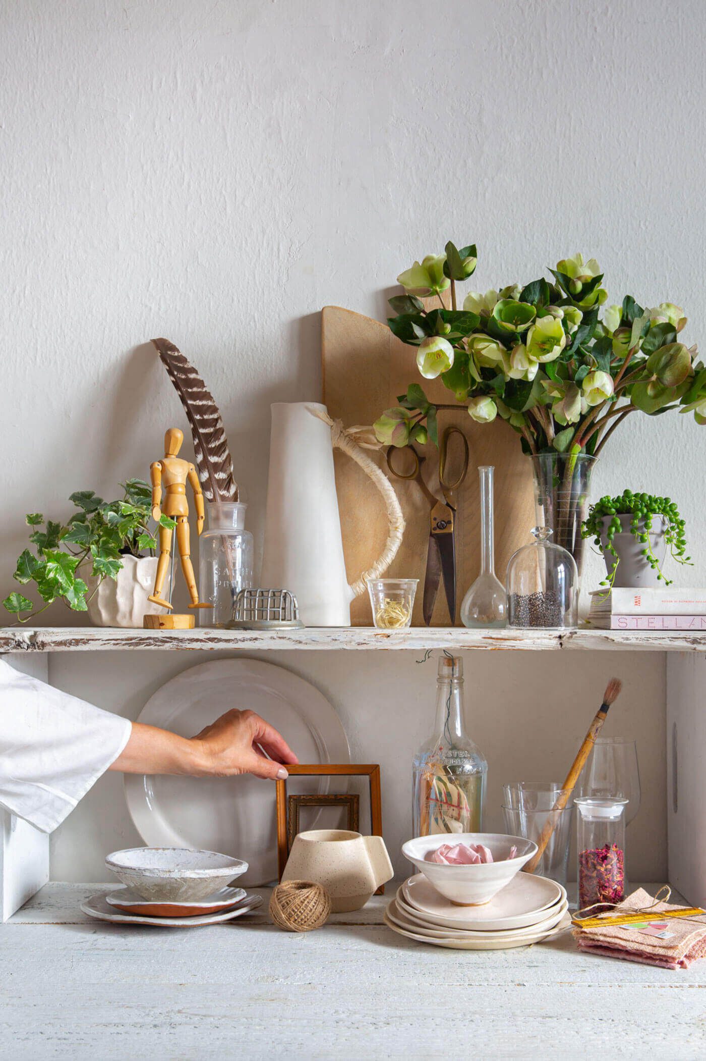 Robin Zachary styles shelves