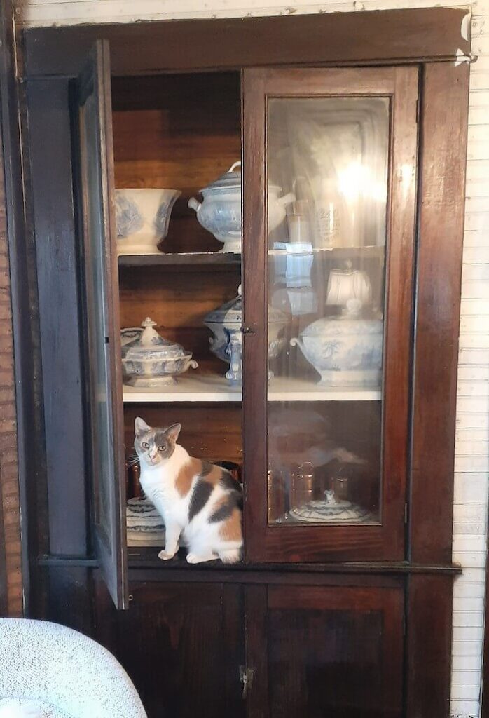 built in hutch in old house