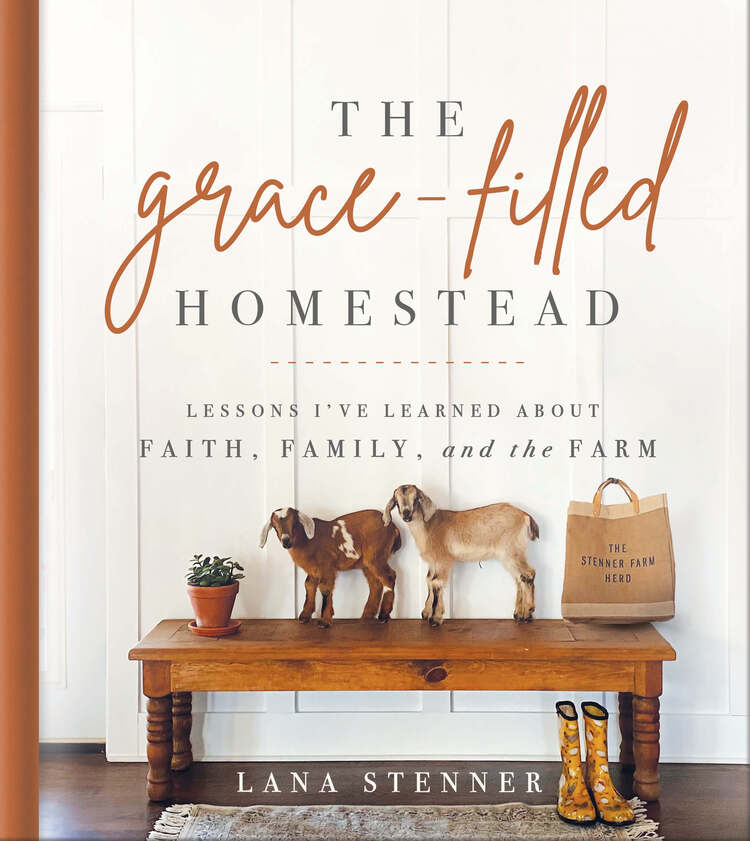 Book cover of "The Grace-Filled Homestead" by author Lana Stenner