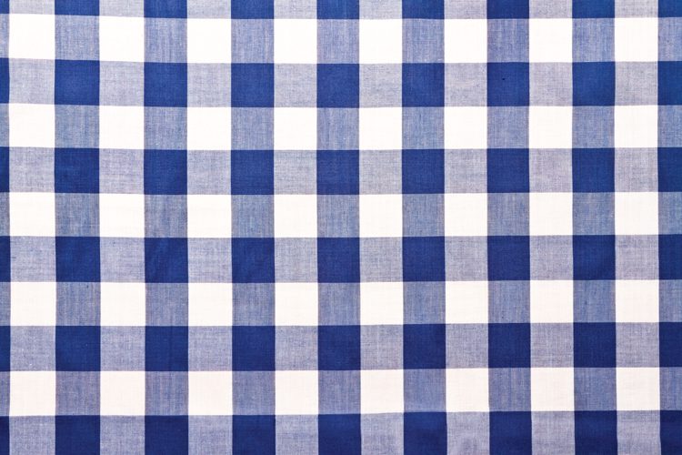 gingham blue and white pattern