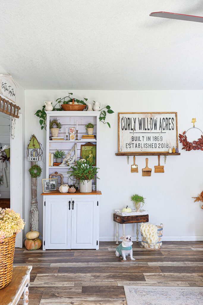 hutch with potted plants