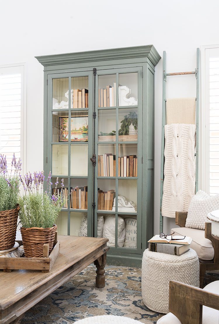 Light teal bookcase using colors as neutrals for a living room