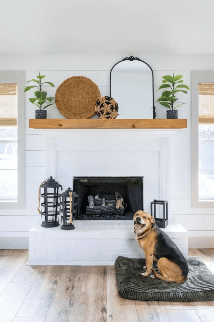 Living room with modern and mid century modern farmhouse style