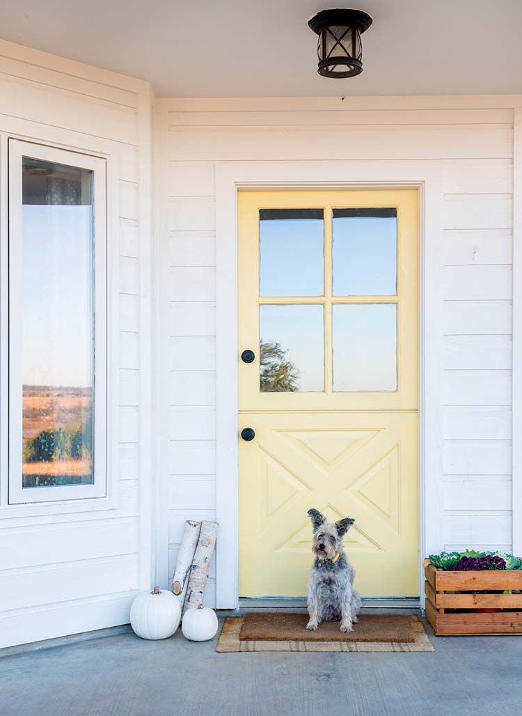 pastel yellow front door with white pumpkins and dog in Texas farmhouse