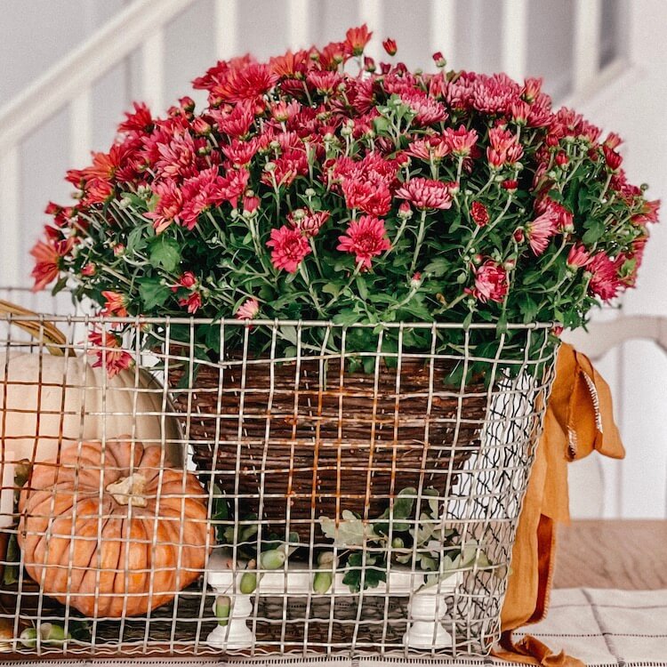 red fall flowers in wire basket