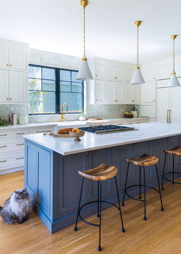 blue island cabinetry in otherwise white modern farmhouse kitchen