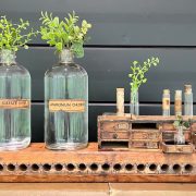 antique glass bottles used to nurture cuttings