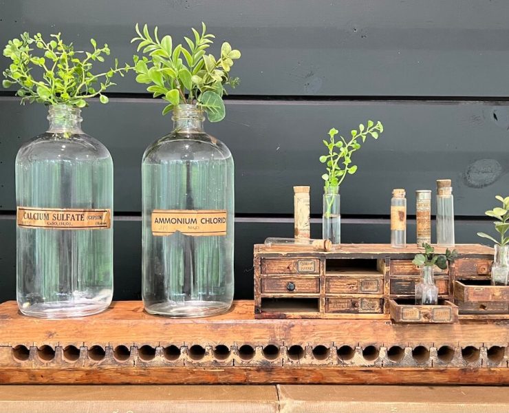 antique glass bottles used to nurture cuttings