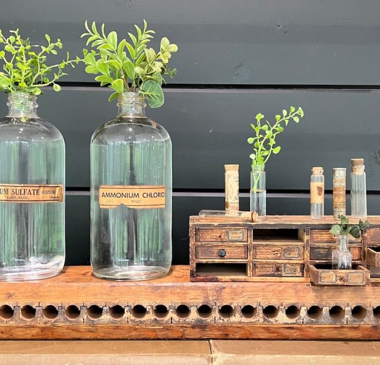 antique glass bottles used to nurture cuttings