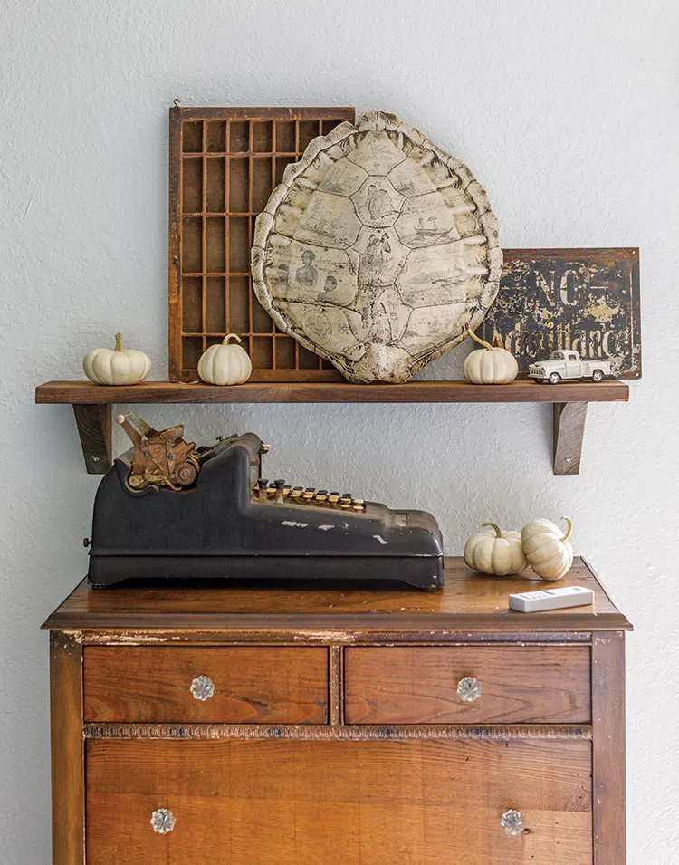 vintage sign and printer's tray and turtle shell in kid's room