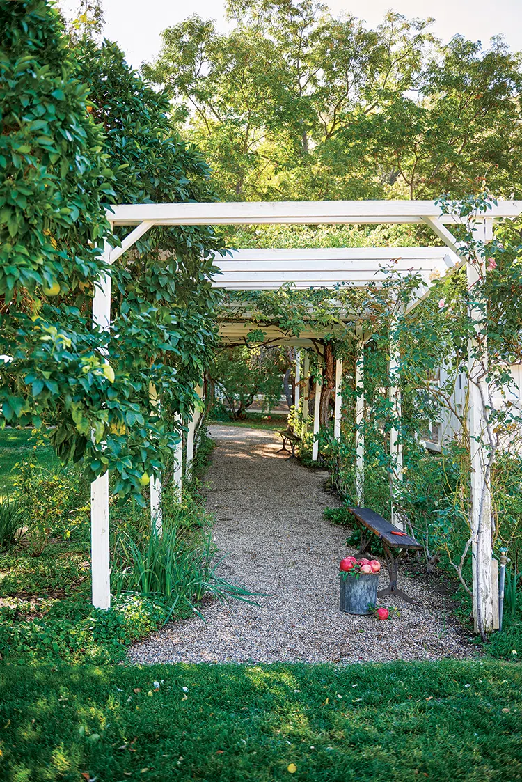 pergola and bucket of apples on working farm in Ojai