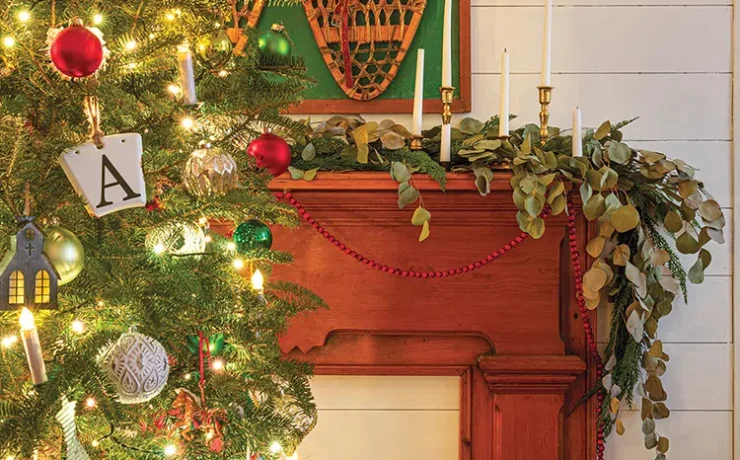 Christmas tree and vintage snowshoes