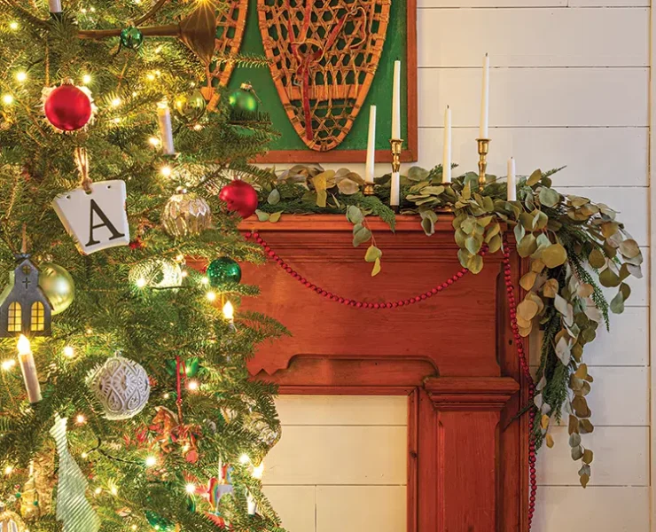 Christmas tree and vintage snowshoes