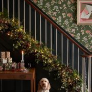 presents wrapped in extra wallpaper in home with dog