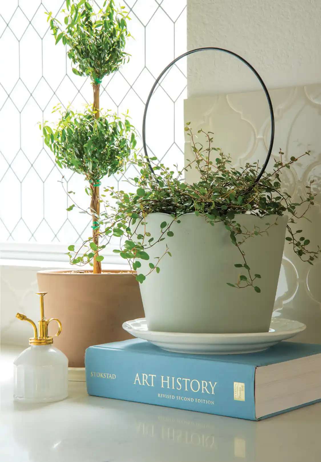 spring vignette with potted plants, mister and Art History book in new build farm cottage home