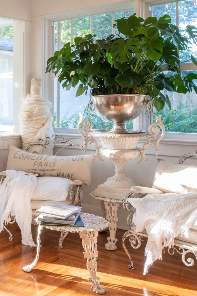 potted monstera in 1890 farmhouse in Florida