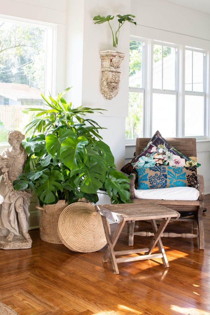 potted monstera inside 1890 farmhouse in Florida